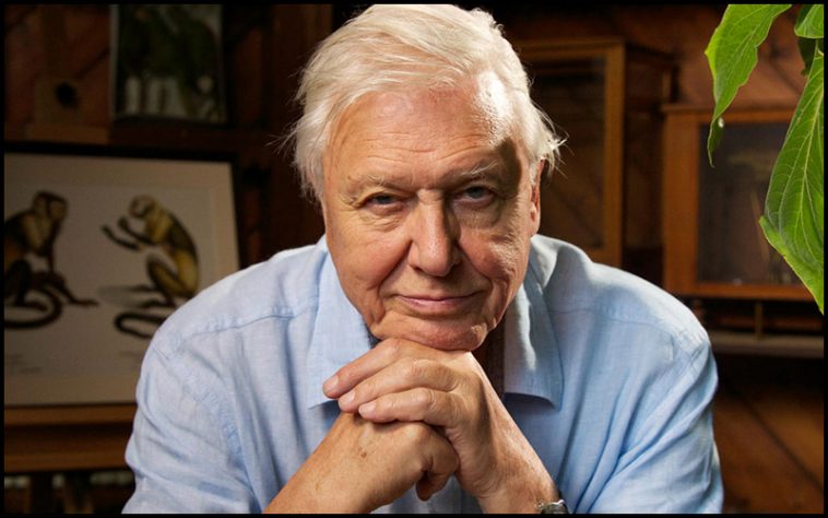 Sir David Attenborough Drinking Game - theChuggernauts.com